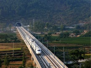 道路、橋梁、隧道與市政工程質量控制精華集萃——筑龍論壇專業分享